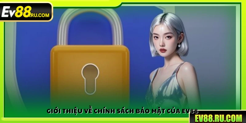 Tìm hiểu về chính sách bảo mật tại Ev88