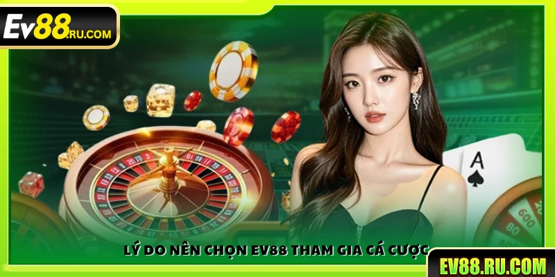 Lý do bạn nên tham gia cá cược tại Ev88