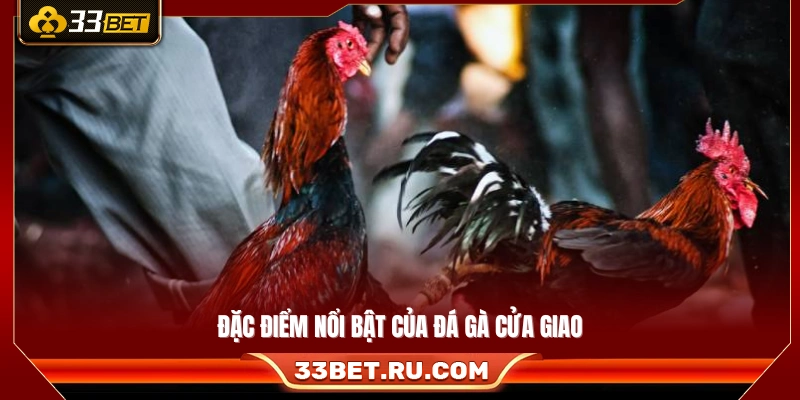 Các điểm khác biệt tạo nên đá gà cửa giao