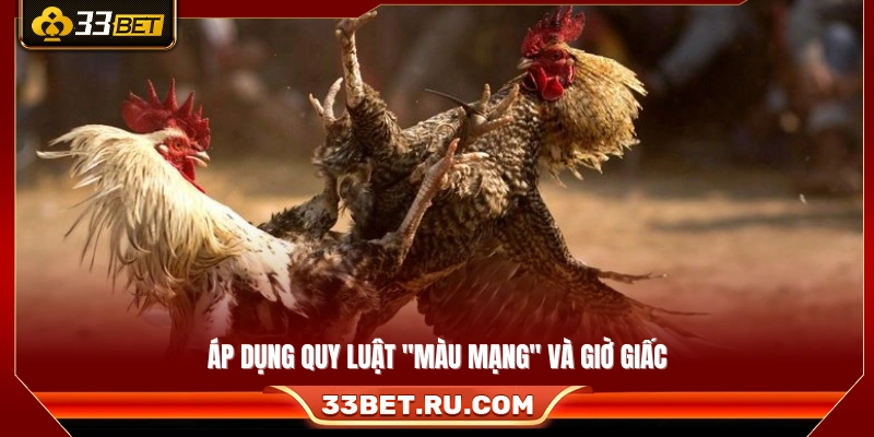 Tuân theo quy luật màu mạng kết hợp khung giờ thi đấu